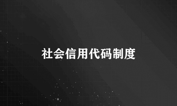 社会信用代码制度