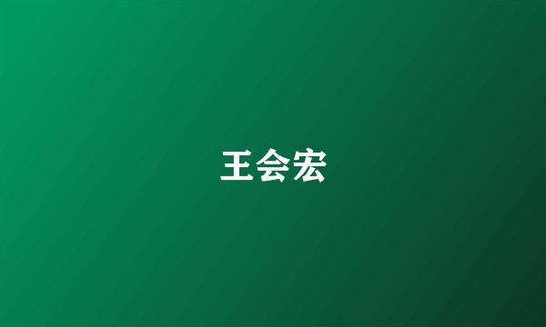 王会宏