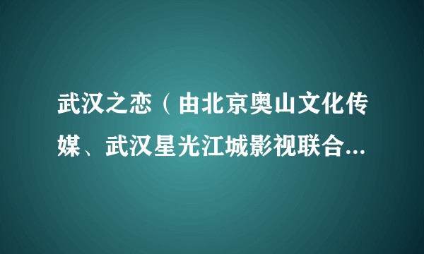 武汉之恋（由北京奥山文化传媒、武汉星光江城影视联合出品制作的当代题材电视剧）