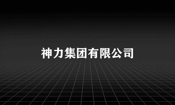神力集团有限公司