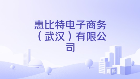 惠比特电子商务（武汉）有限公司