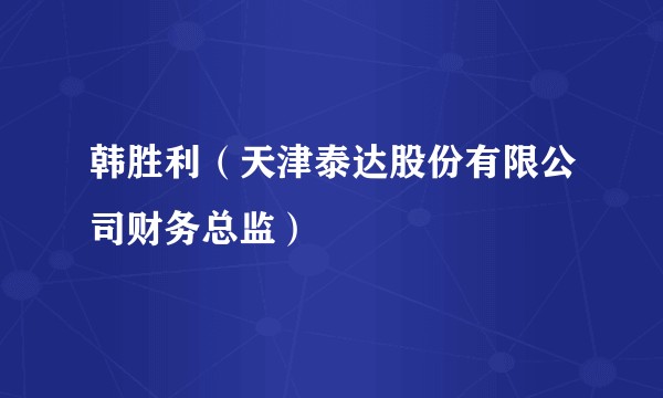 韩胜利（天津泰达股份有限公司财务总监）