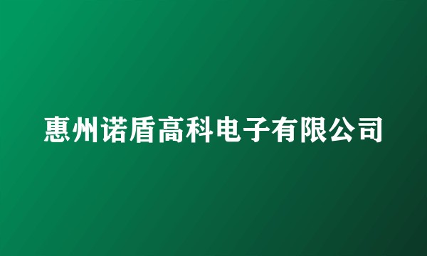 惠州诺盾高科电子有限公司