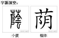 荫