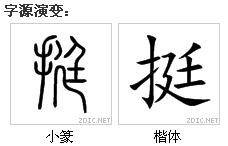 挺（汉语文字）