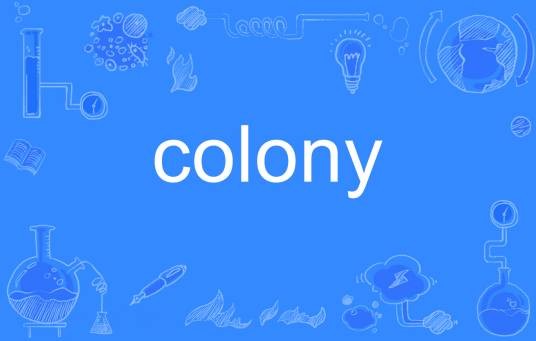 colony（英语单词）