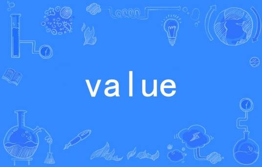 value（程序意思）