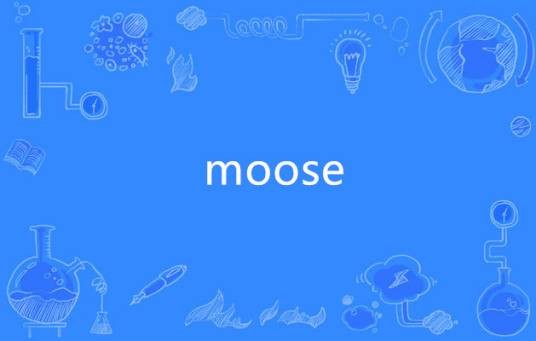 moose（英语单词）
