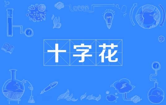 十字花（精准疫情防控管理模式）