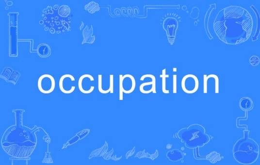 occupation（英语单词）
