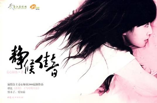 静候佳音（2008年中国妇女出版社出版的图书）