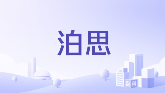 泊思