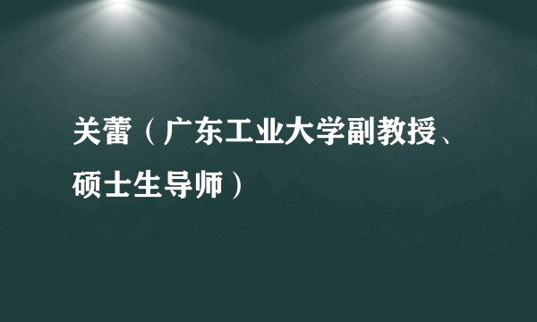 关蕾（广东工业大学副教授、硕士生导师）