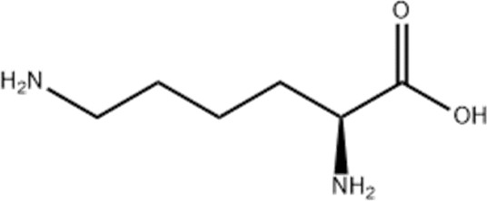 L-赖氨酸