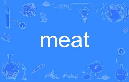 meat（英语单词）