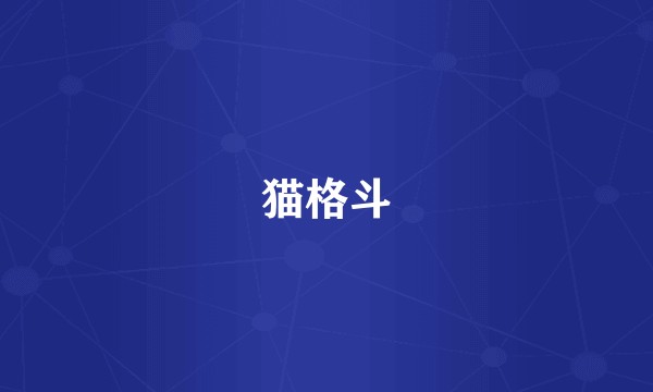 猫格斗