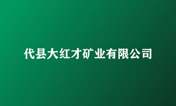 代县大红才矿业有限公司