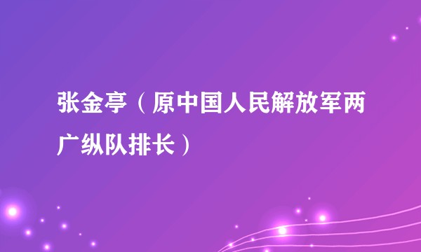 张金亭（原中国人民解放军两广纵队排长）