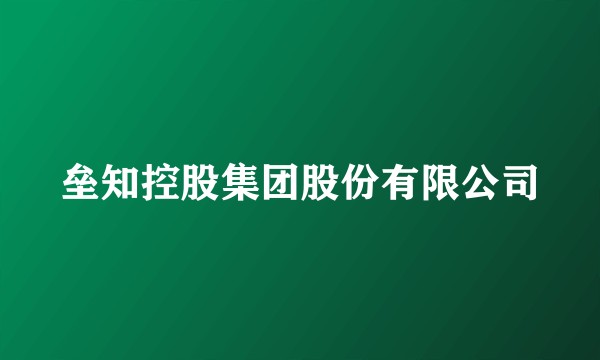 垒知控股集团股份有限公司