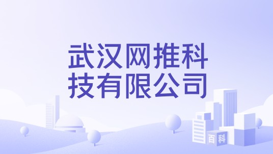 武汉网推科技有限公司