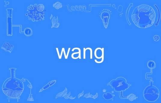 WANG（英文单词）