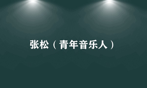 张松（青年音乐人）