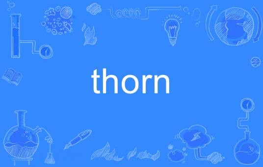 thorn（英语单词）