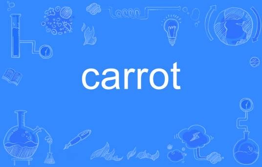 carrot（英语单词）