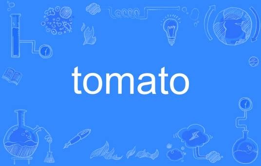 tomato（英语单词）
