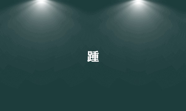 踵