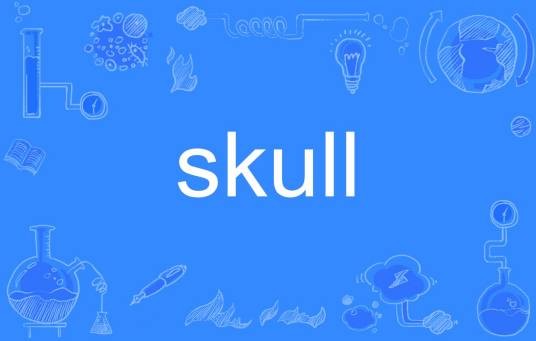 Skull（英语单词）