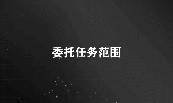 委托任务范围