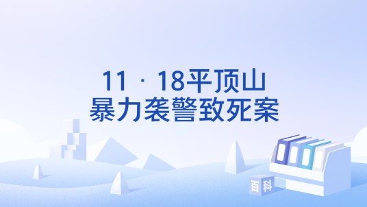 11·18平顶山暴力袭警致死案