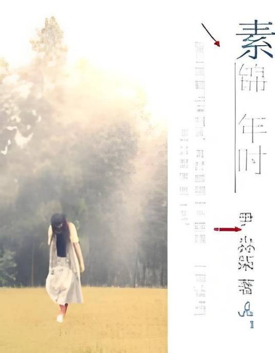 素锦年时