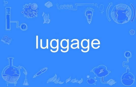 luggage（英语单词）