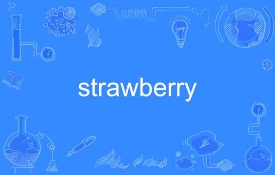 strawberry（英语单词）