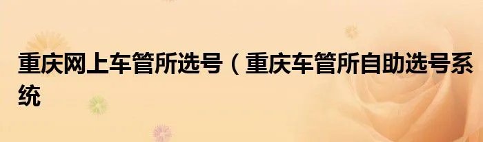 重庆网上车管所选号（重庆车管所自助选号系统