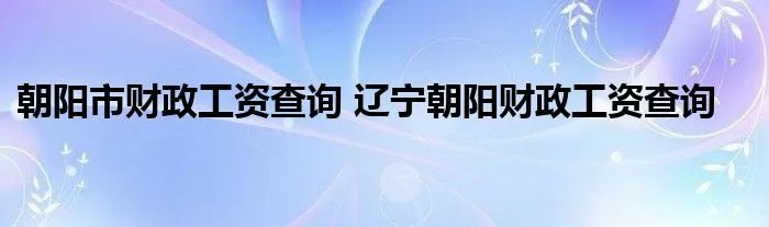 朝阳市财政工资查询 辽宁朝阳财政工资查询