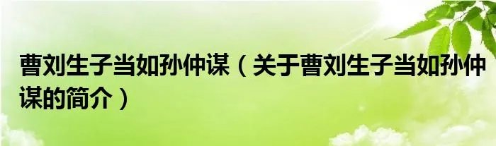 曹刘生子当如孙仲谋（关于曹刘生子当如孙仲谋的简介）