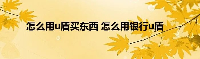 怎么用u盾买东西 怎么用银行u盾