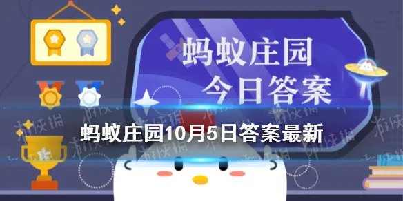 为什么盯着一个字看久了蚂蚁庄园 蚂蚁庄园今日答案10.5