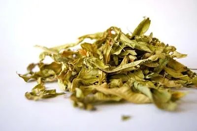 龙胆皮功效 清热止血效果好
