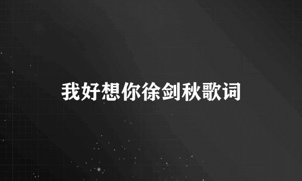 我好想你徐剑秋歌词