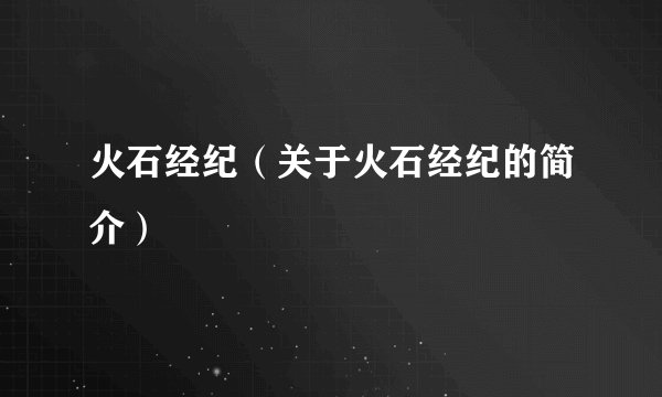 火石经纪（关于火石经纪的简介）