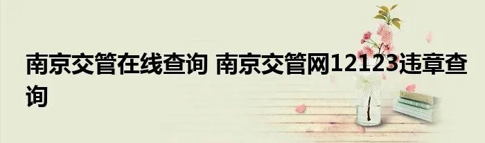 南京交管在线查询 南京交管网12123违章查询