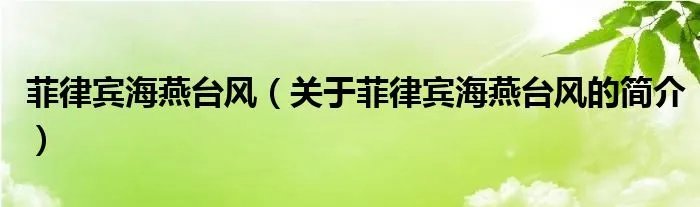 菲律宾海燕台风（关于菲律宾海燕台风的简介）
