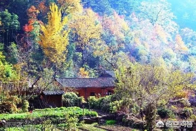 水没坪村