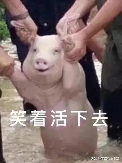 你怎么评价特朗普败选？