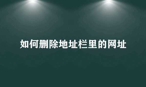 如何删除地址栏里的网址