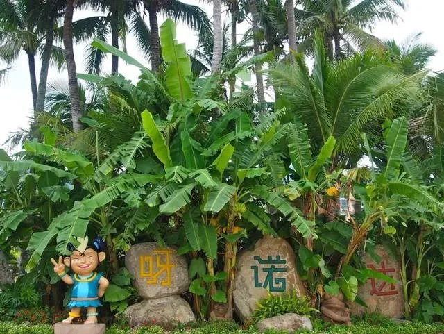 怎样用导航在三亚市内游览?